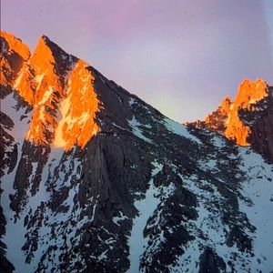 Meet your Posher, Bella